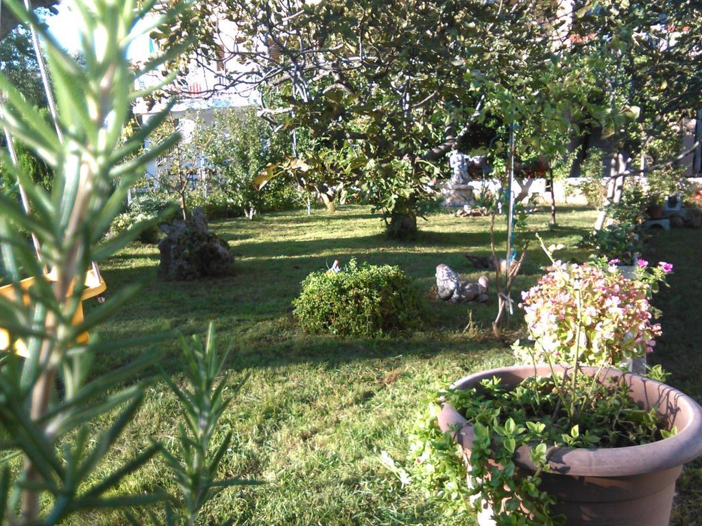Apartments Lana Starigrad Paklenica Exterior foto